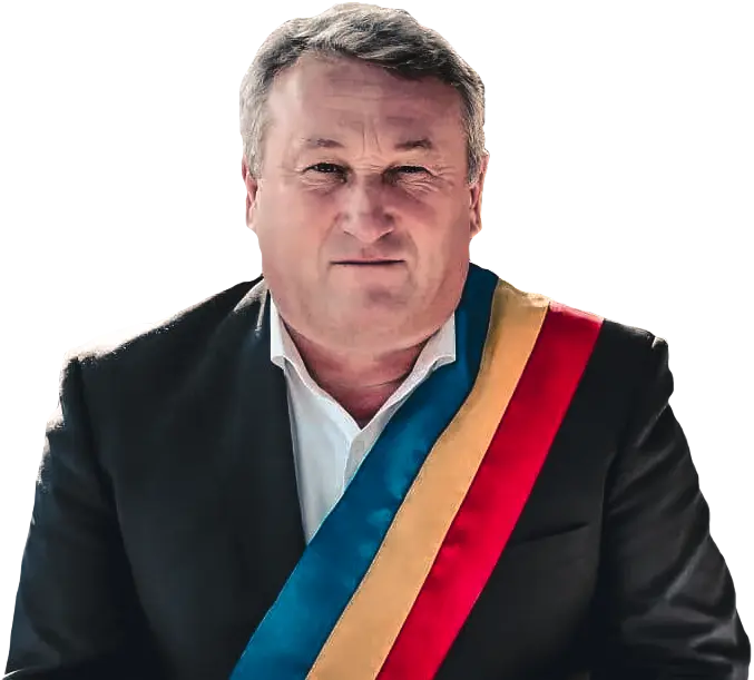 Despre Primărie